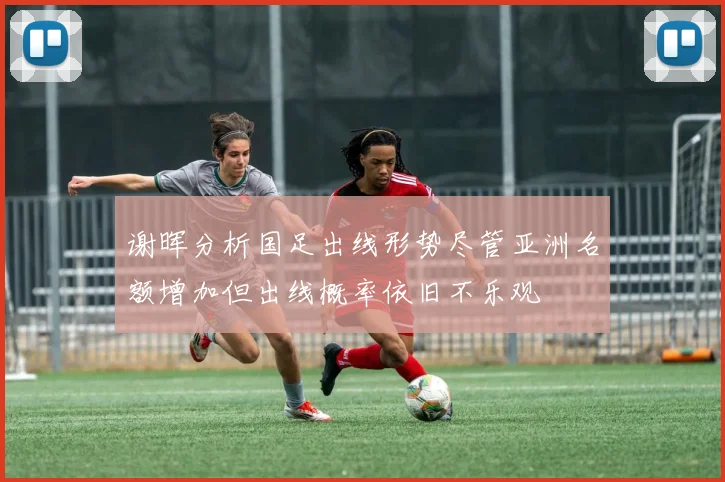 谢晖分析国足出线形势尽管亚洲名额增加但出线概率依旧不乐观