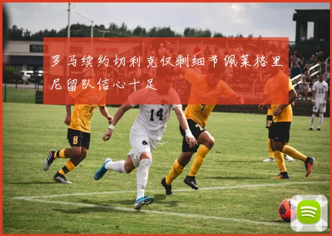 罗马续约切利克仅剩细节佩莱格里尼留队信心十足