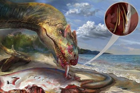 Paleontologists Discover First-Ever Fossil Tapeworm Trapped in Amber