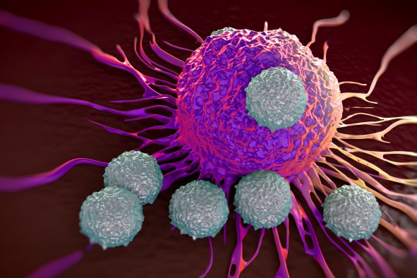 Scientists Discover How Cancer Creates 'Acid Wall' Against Immune System