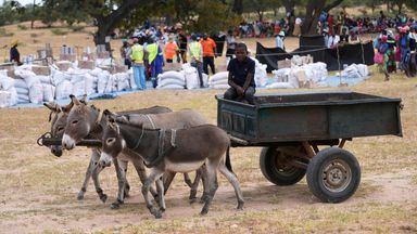 El Nino-linked drought threatens energy and food supplies in southern Africa with millions at risk