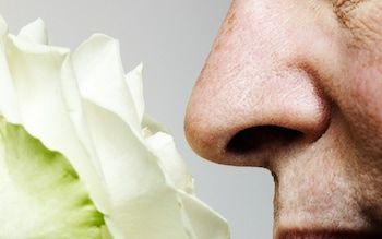 Why scents are being used to treat dementia and depression