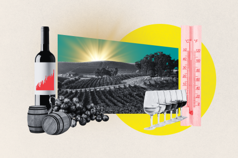 How Climate Change Could Affect Your Favorite Wines