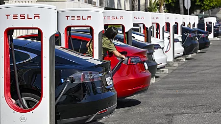 Europe's Tesla fans fear brakes put on plans for cheaper electric car