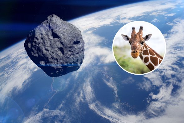 NASA Says Giraffe-Sized Asteroid to Pass Incredibly Close to Earth Today