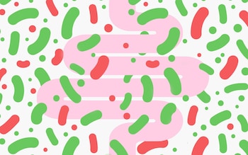 How to increase the good bacteria in your gut and how to get rid of the bad ones