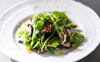 Spring lamb salad recipe