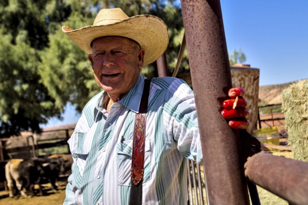 10 years after armed standoff with federal agents, Bundy cattle are still grazing disputed rangeland