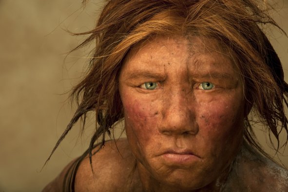 Neanderthals 'More Human' Than Generally Assumed, Says Living Space Study