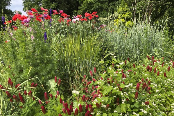 ‘Foodscaping’ slips vegetables in among the flowers for visual appeal in the garden