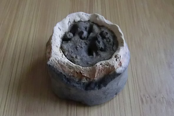 Mysterious Burnt Seeds Found In Roman Pot May Be Cannabis