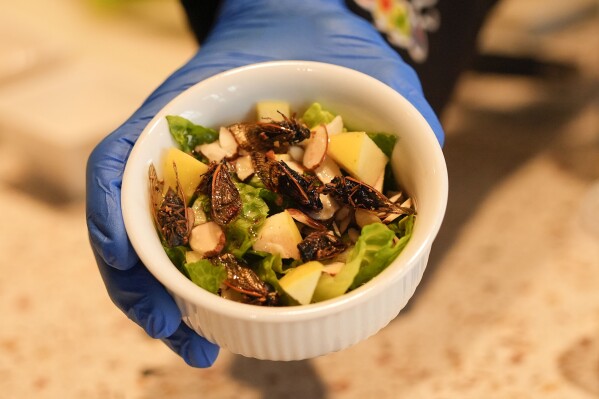 Would you like a cicada salad? The monstrous little noisemakers descend on a New Orleans menu