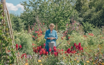 10 essential steps to building a year-round cutting garden