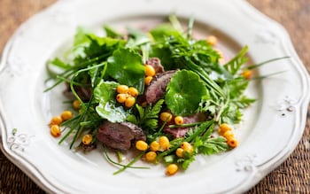 Pan-fried venison salad recipe