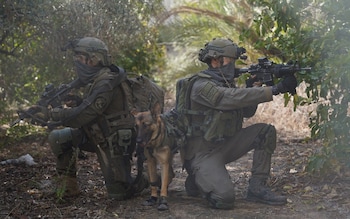 The Israel Defence Forces are the most moral soldiers in the world