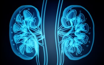 Kidney disease: How to protect yourself and the symptoms the NHS may not spot