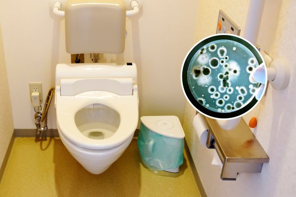 Men Are Aiding Hospital 'Superbugs' by Leaving Toilets Dirty