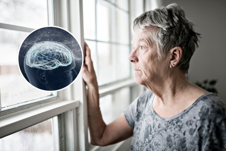 Neuroscientists Reveal Secret of Superagers' Excellent Memories