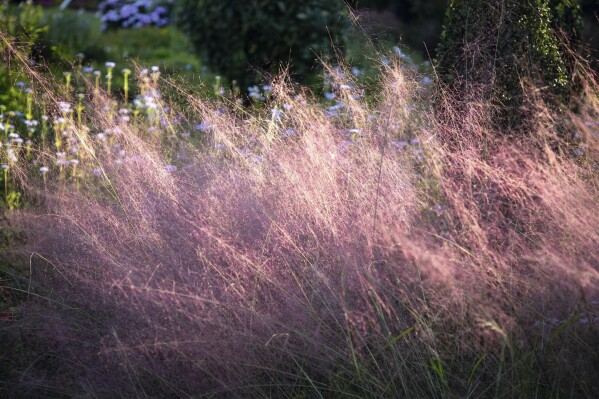 Flowers aren’t the only way to add color to a garden. How to paint with foliage