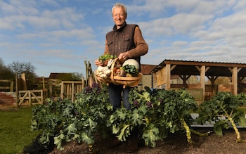 Why no-dig gardening has taken off in Britain