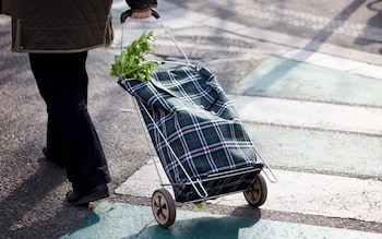 Struggling home uphill, I’ve been left with one humiliating option – the shopping trolley