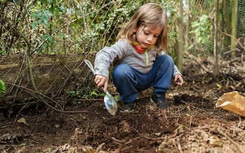 The surprising health benefits of dirt