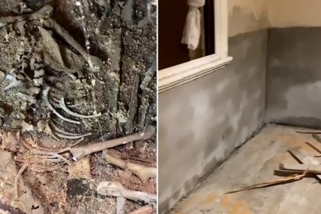 Buyer Renovating Home Pulls Up FloorboardsâCalls Police Over What She Finds