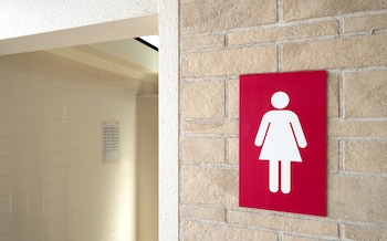 Don’t trans activists get it? Single-sex loos are about privacy not gender