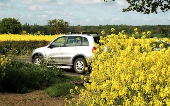 The dangers of driving under the influence of hay fever medications