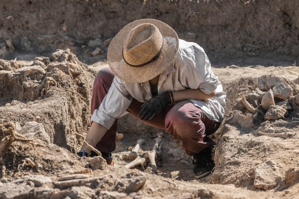 Archaeologists Uncover 120,000 Artfiacts During Medieval Abbey Excavations