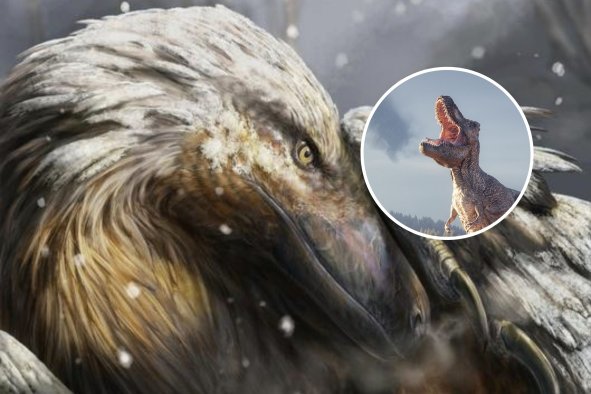 'Unique' Bird Ability First Evolved in Dinosaurs 180 Million Years Ago