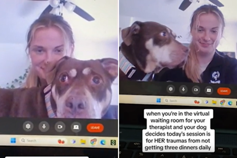 Woman Attempts Therapy SessionâDog Has Other Plans: 'Loves to Be Involved'