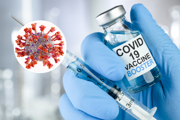 How COVID Vaccines Stand Up to New FLiRT Variants