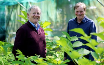 Crocus founders on the Chelsea Flower Show: ‘It’s not necessarily about horticulture at the highest level’