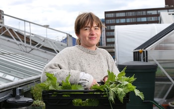 Why Manchester’s most fashionable restaurants are growing vegetables in car parks