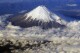 No more cute snaps of Mt Fuji. A screen is up in a Japanese town to prevent tourist crowds