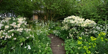 Water amphitheatres and edible meadows: Our pick of the best gardens at the Chelsea Flower Show