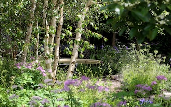 How to recreate this Chelsea Flower Show winning garden – and your favourite