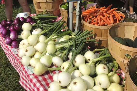 Why I love my CSA (it’s more than the weekly box of fresh produce)