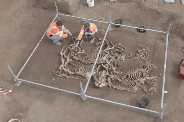 Archaeologists Uncover 'Astonishing' Horse Burials From 2,000 Years Ago