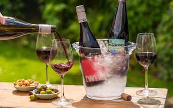 The ultimate summer wine list – including four ice-bucket reds