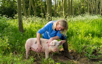 What I’ve learnt about growing a self-sufficient garden – and keeping pests at bay