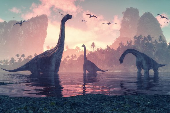 Early Dinosaurs' Complex Lost World Revealed: 'Unique Importance'