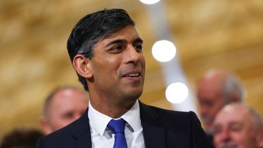 What did Rishi Sunak do before he entered politics?