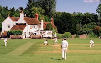 It’s the silly season of village cricket and we need it more than ever