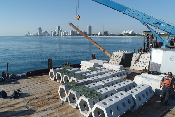 Meet the Man Mixing Concrete and Corals to Defend Miami in Hurricane Season