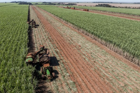 Laughing Gas Is a Serious Problem for the Climate. Better Farming Can Help.