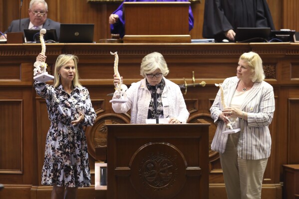 GOP women who helped defeat a near-total abortion ban are losing reelection in South Carolina