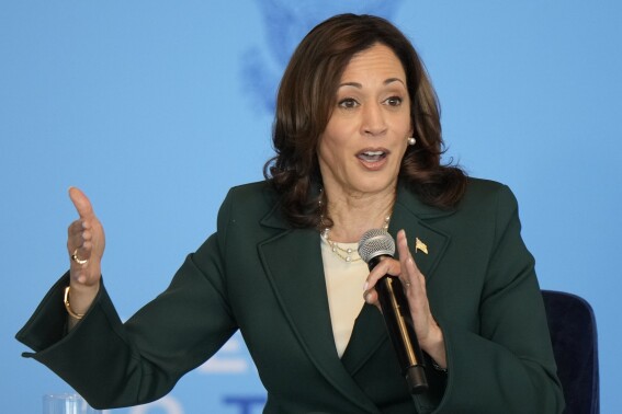 Harris stepping in for Biden at Ukraine summit as she takes growing role in heat of 2024 campaign