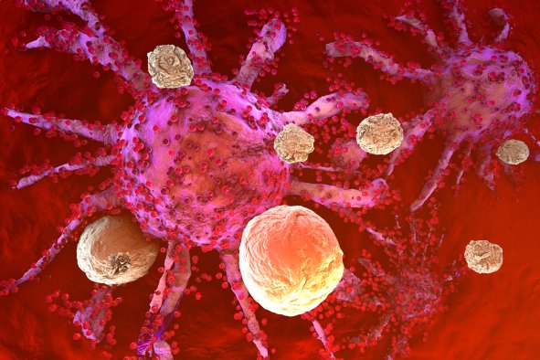 Scientists Make Breakthrough for Successful Cancer Treatment